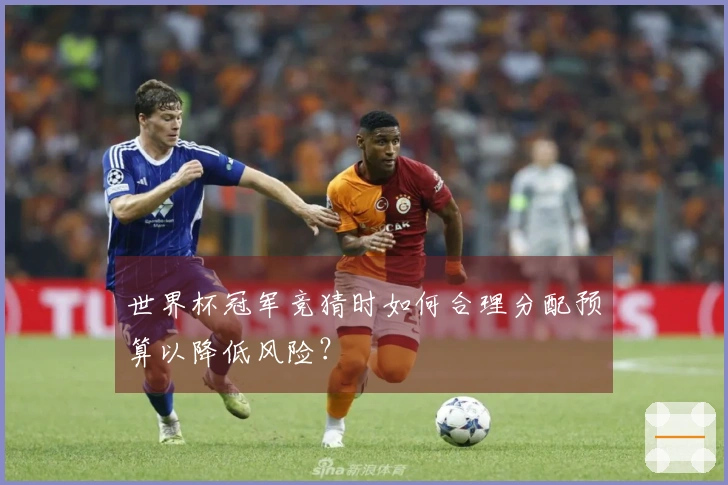 世界杯冠军竞猜时如何合理分配预算以降低风险？